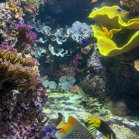 Charmant Cocon Iode Cosy Au Centre De La Rochelle - Marche Au Bout De La Rue A 1 Min, Lumineux Et Complet Avec Tv Et Wifi