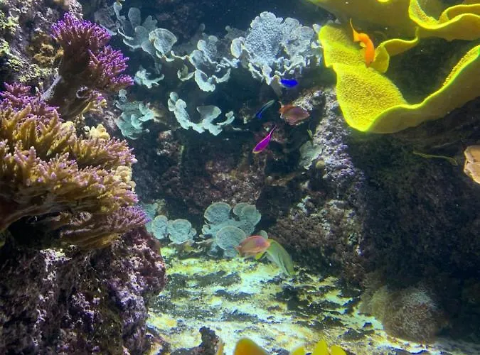 Cocon Iodé Cosy équipé, Baigné De Lumière, Situé Au Cœur De à 1min à Pied Du Marché Avec Tv Et Wifi